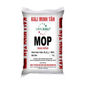 Kaly Miểng Minh Tân