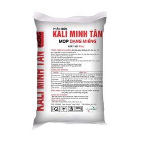 Kali Miểng Minh Tân