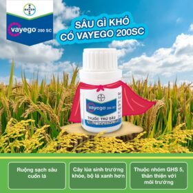 Vayego 200SC