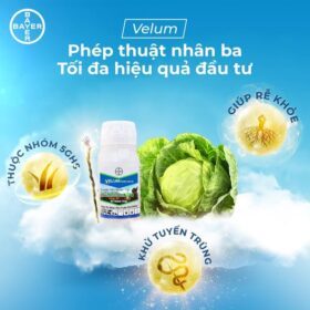 VELUM PRIME 400SC - Phòng tuyến trùng - Khỏe rễ - Bền cây