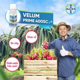 VELUM PRIME 400SC