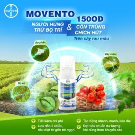 MOVENTO 150OD