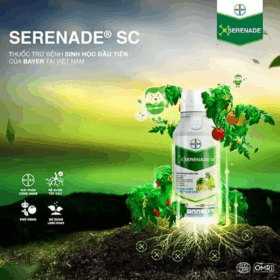 SERENADE SC - Thuốc trừ bệnh sinh học – An toàn cho cây
