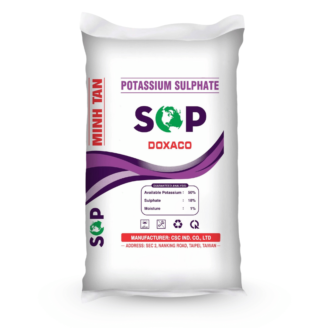 Minh Tân SOP DOXACO tím mặt sau Minh Tân SOP DOXACO tím mặt sau