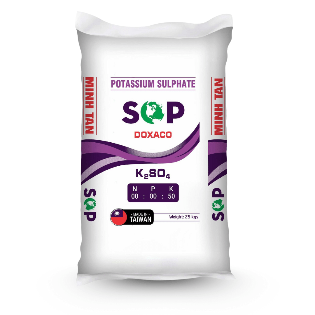 Minh Tân SOP DOXACO tím mặt trước Minh Tân SOP DOXACO tím mặt trước