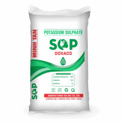 Minh Tân SOP DOXACO xanh mặt sau