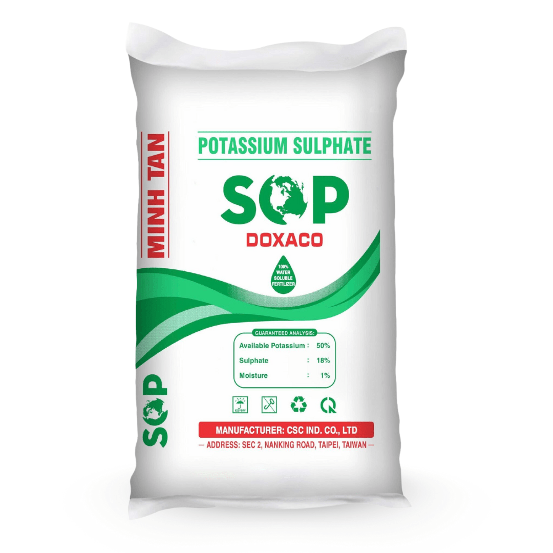 Minh Tân SOP DOXACO xanh mặt sau Minh Tân SOP DOXACO xanh mặt sau