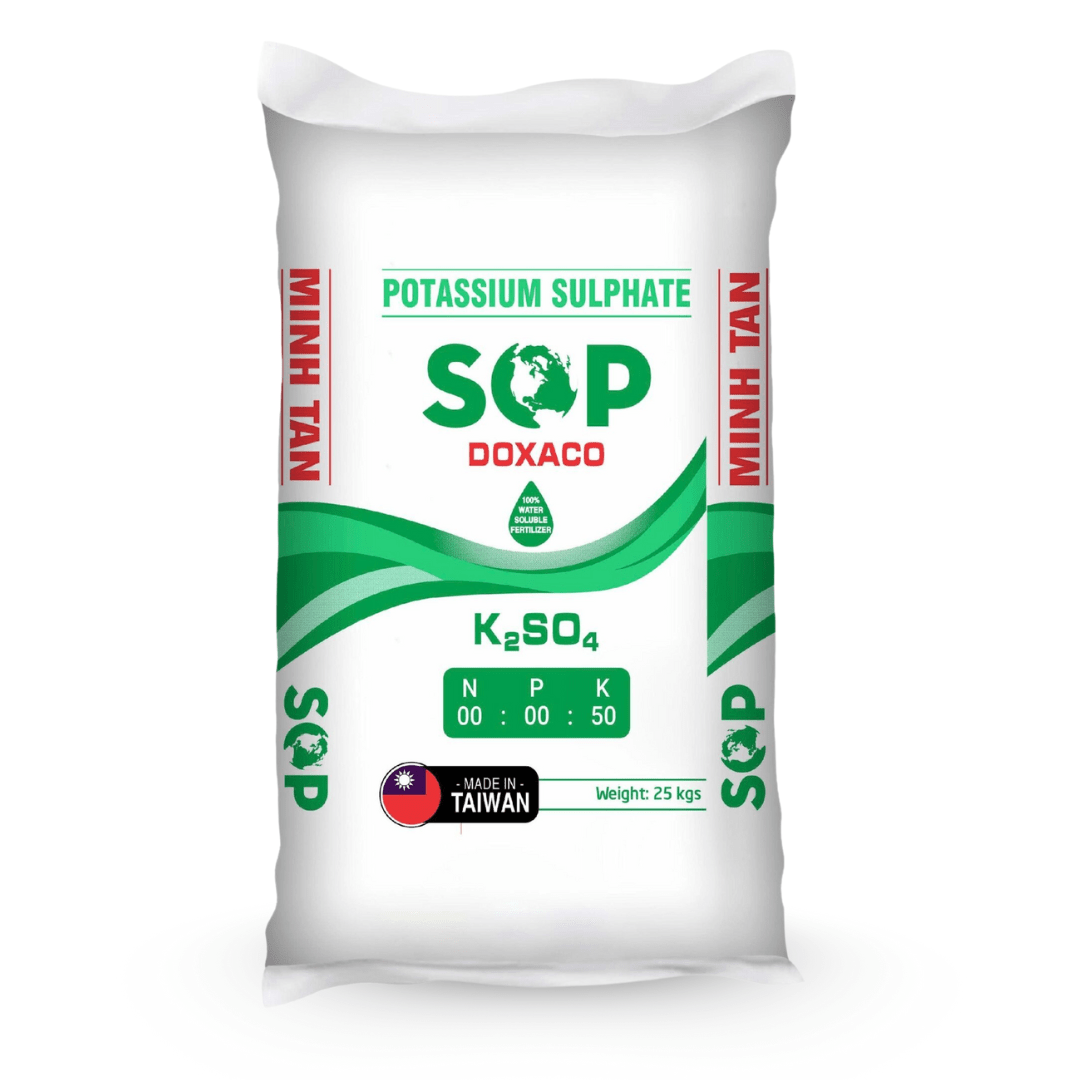 Minh Tân SOP DOXACO xanh mặt trước Minh Tân SOP DOXACO xanh mặt trước