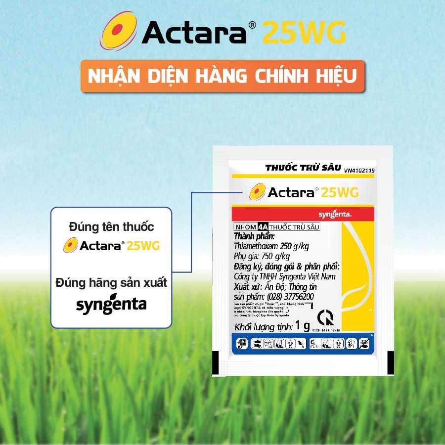 NHAN DIEN CHINH HIEU_Actara NHAN DIEN CHINH HIEU_Actara