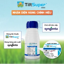 Tilt Super 300EC