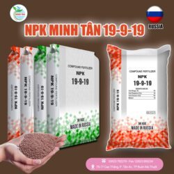 Minh Tân NPK 19-9-19 RUSSIA - 50kg