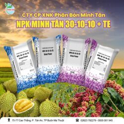 Minh Tân NPK 30-10-10 Green Power