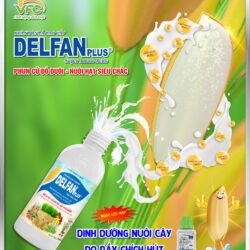 DELFAN PLUS